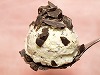 チョコミントジェラート